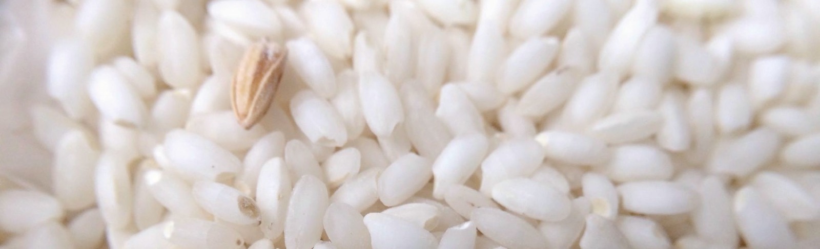 White rice