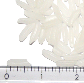 Yadanatoe grains beside a ruler